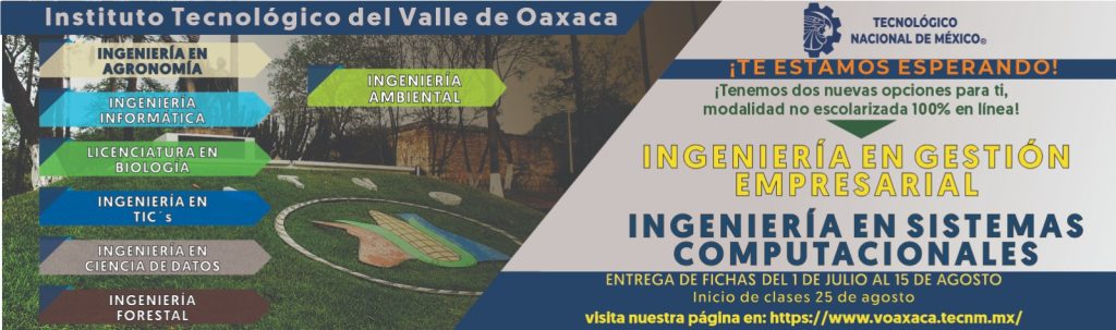 MODALIDAD ESCOLARIZADA